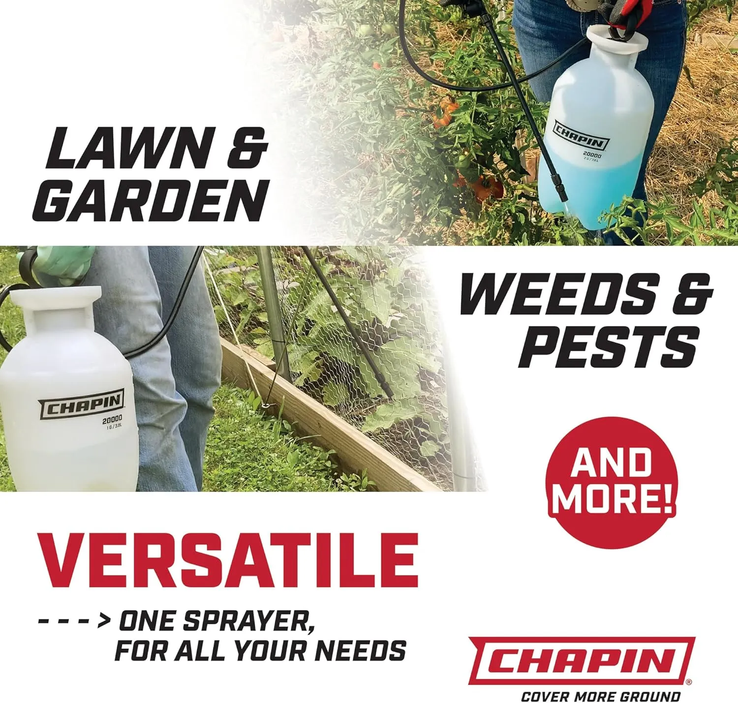 Chapin 20024: Value Pack, 2-Pack, 2-Gallon SureSpray Lawn and Garden Poly Tank Sprayer with Anti-Clog Filter for Fertilizers, Herbicides and Pesticides, Translucent White